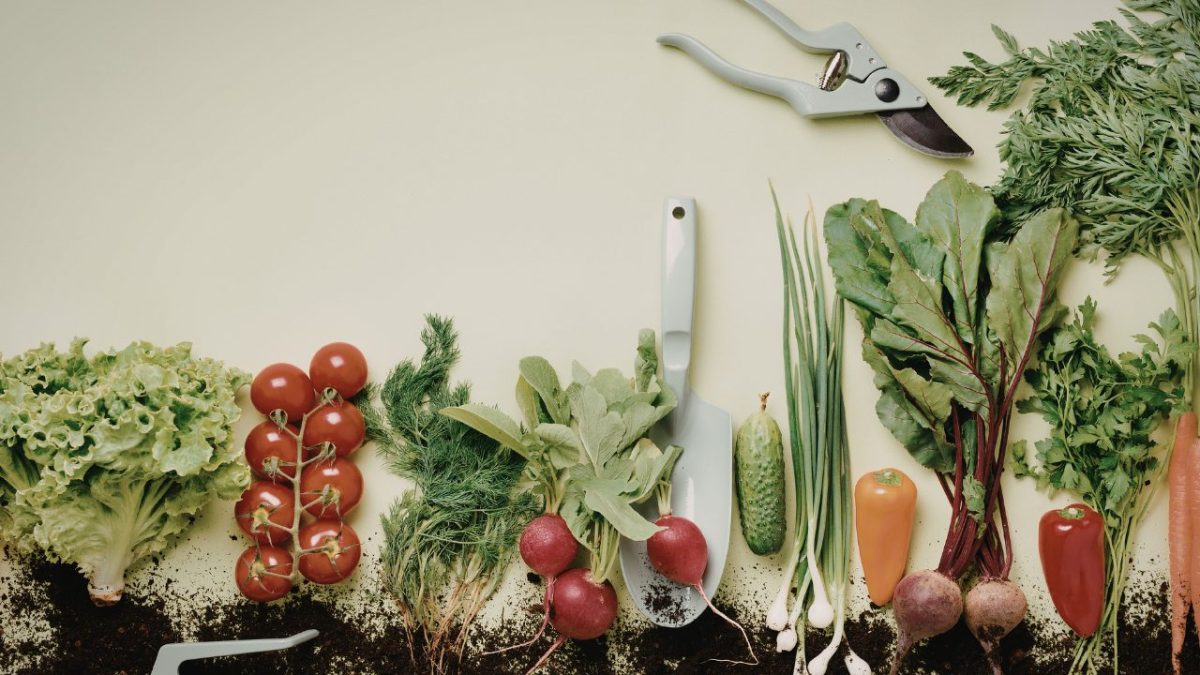 Relatório da FAO confirma Brasil fora do Mapa da Fome e aponta queda da insegurança alimentar