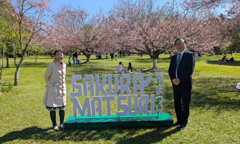 Festival das Cerejeiras celebra cultura japonesa e tradição em Castro