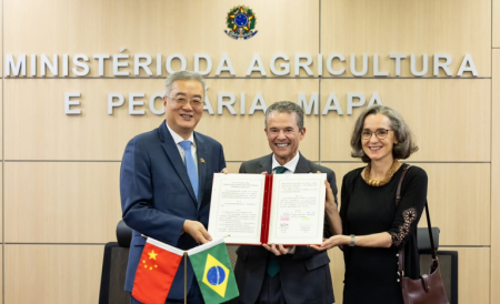 Brasil e China assinam protocolo para exportação de miúdos suínos