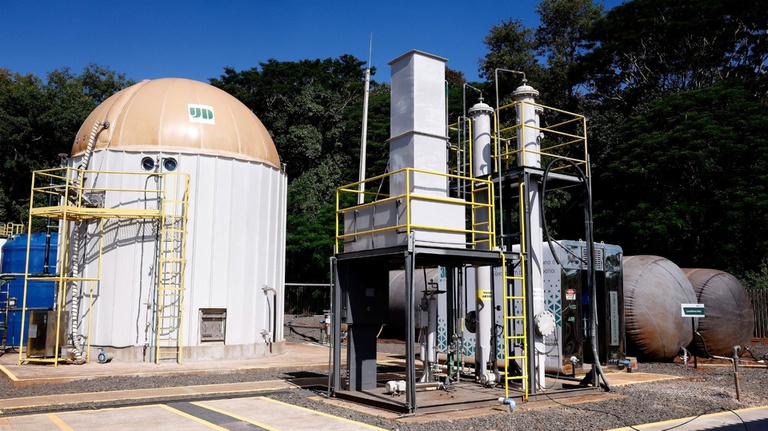 Resíduos da produção do óleo de palma e cana-de-açúcar podem servir de matéria-prima para o biometano