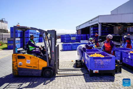 Exportadores sul-africanos visam a China e outros mercados do BRICS em meio a mudanças no comércio global