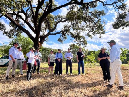 Representantes de 14 países conhecem a ciência que transforma a agricultura no Cerrado