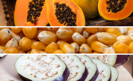 Abertura de mercados para produtos brasileiros no Kuwait, Nicarágua, Síria e Bangladesh